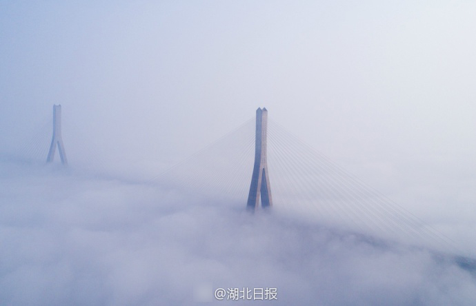黄忆慈