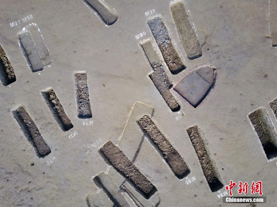 国产乱人视频在线观看播放器