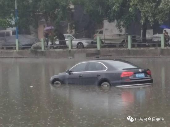 黄色的免费看