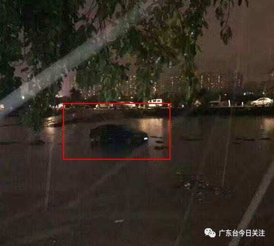 印度    黄绝片