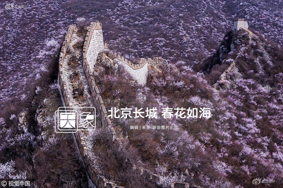 亚州人成在我直播