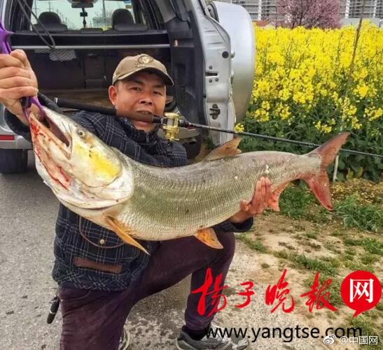 裸交、?洗浴偷拍