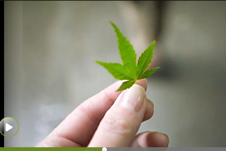 人与禽A片啪啪