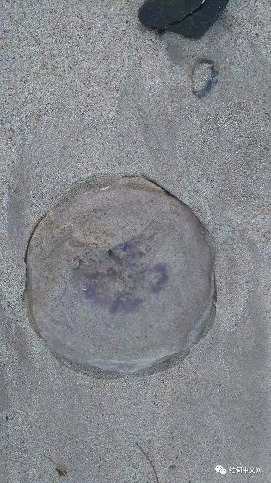 色情 影片 在线