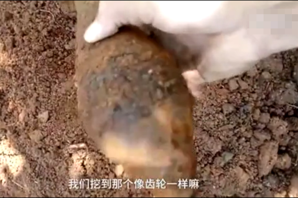 新疆色情片