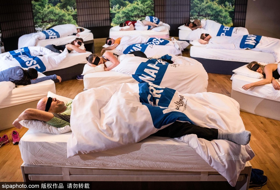 手机能看的操逼