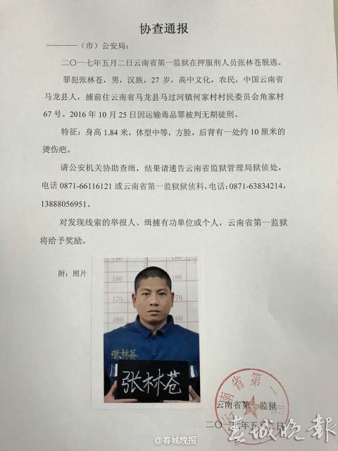 亚洲成人av
