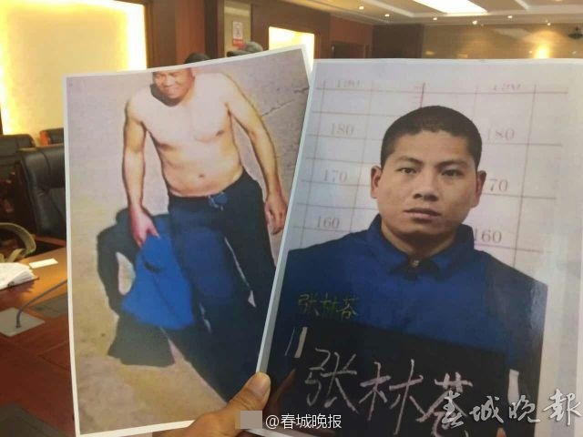 无码欧美精品一区二区免费式影视
