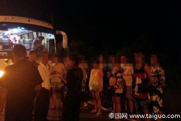 女性向AV网站 蜜桃堂