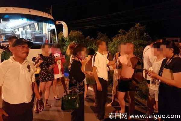 干逼软件