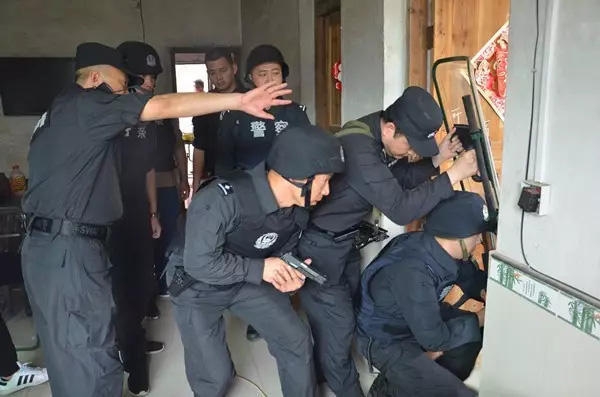 欧美乱论视频