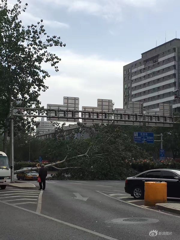 最新 成人 Av