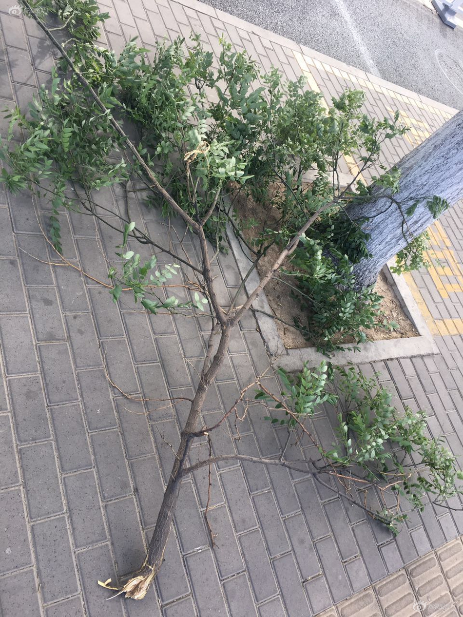尿道高潮
