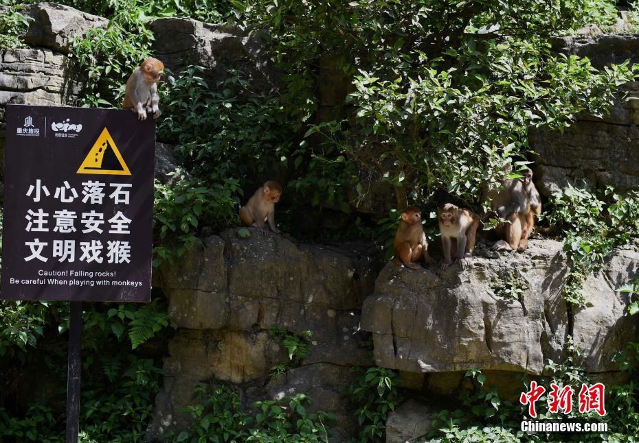 日本無碼長片