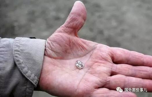 全部裸体做爰大片免费看网站