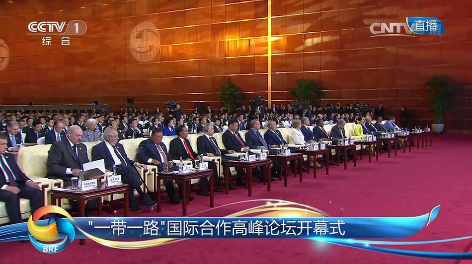 大肚孕妇黄色网站