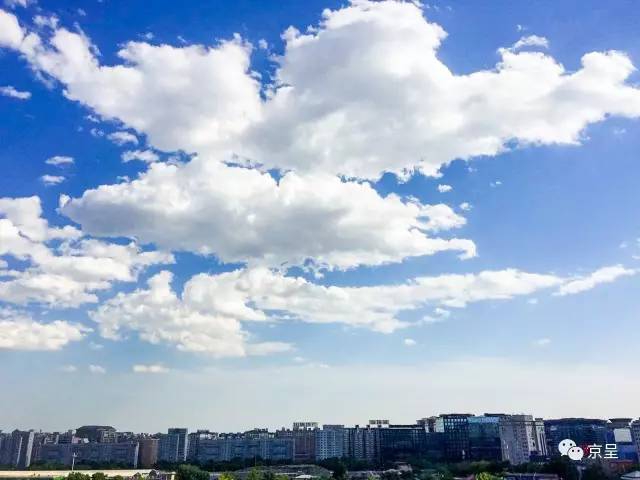 成人 视频 网站 大全