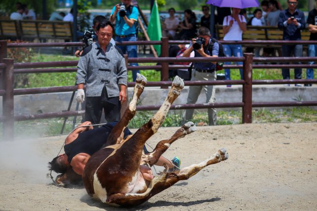 综合网亚洲