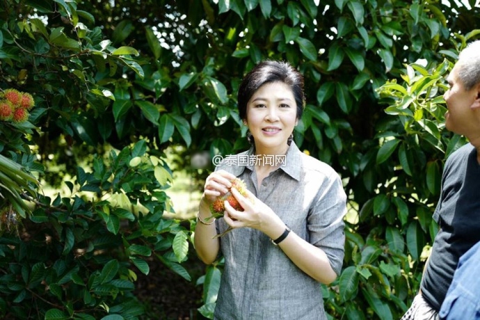 色婷婷五月天