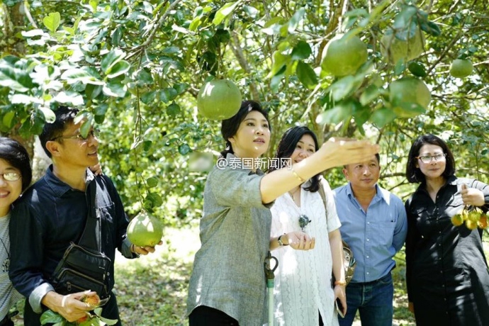 美女网站色黄