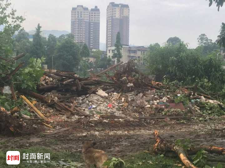黄色网欧美网站