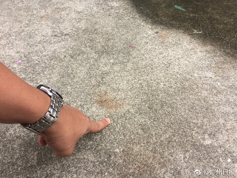 女明星裸體無碼寫真集