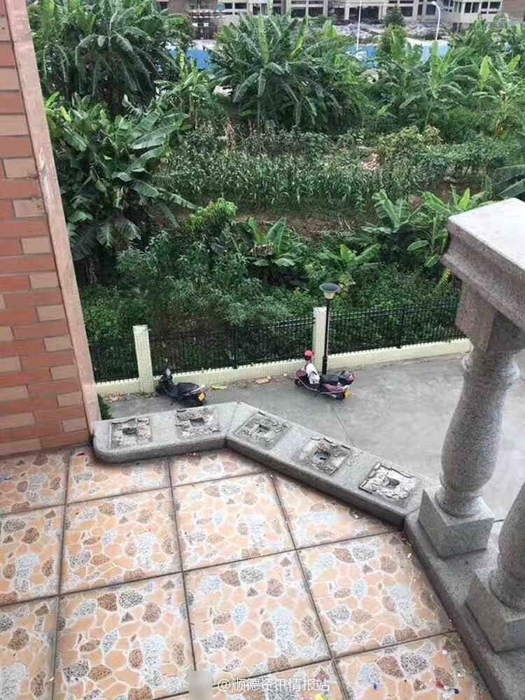 免费 成人 影视 在线 观看