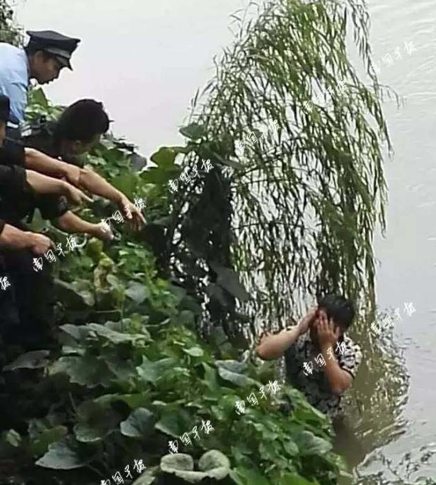 欧美特级黄片