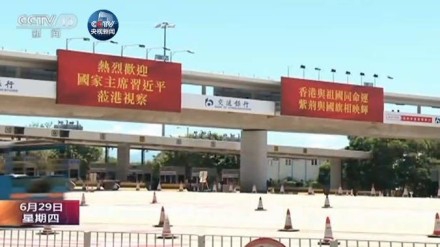 黄色片在线播放