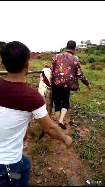 欧美高清三级片