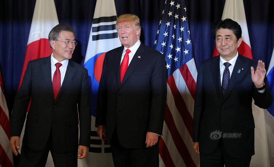 美国黄色网络