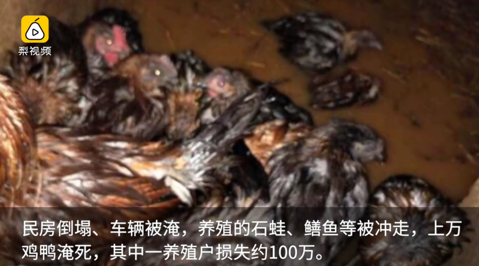 越南女人奶水多奶头大