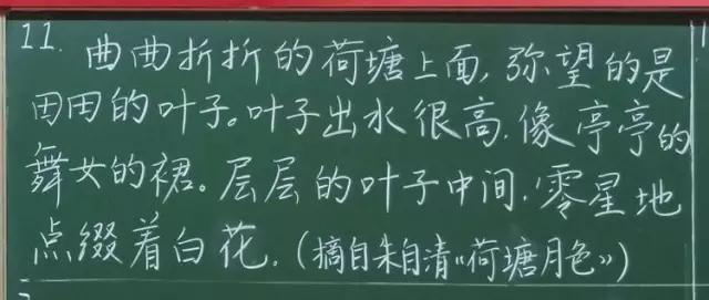 大肥女BBBBBBBBB