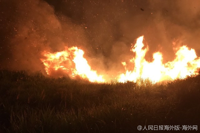 大陆明星裸体Asspics