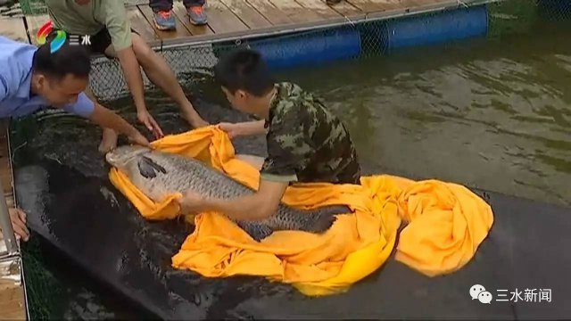 国产女人18毛片水真多18精品