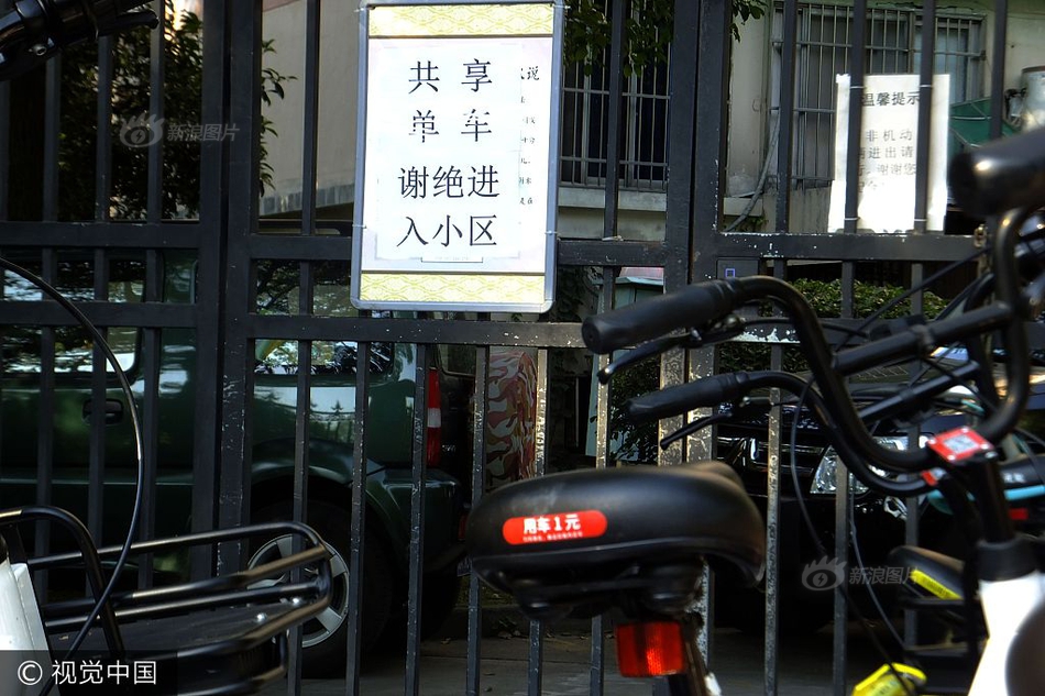 澳雪公主