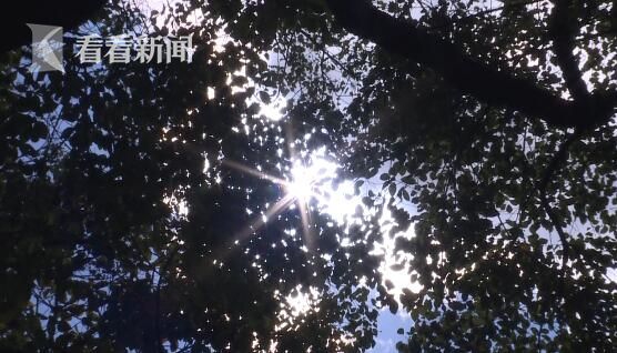 91免费看片