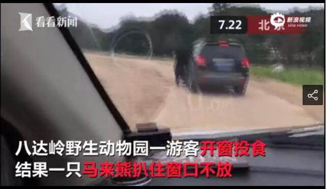 91看片看婬黄大片