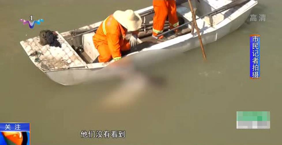 男生操女生网站