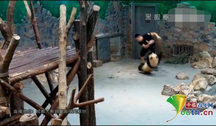 台灣肛交痛