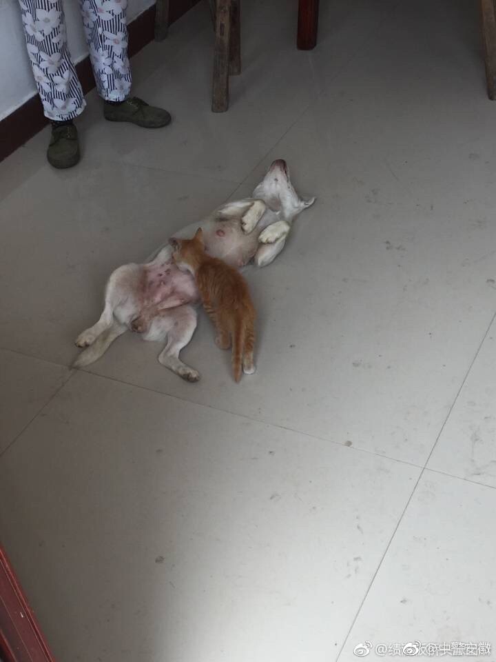 台灣免費三級理论片