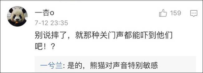 一级AAAAA片裸体做受