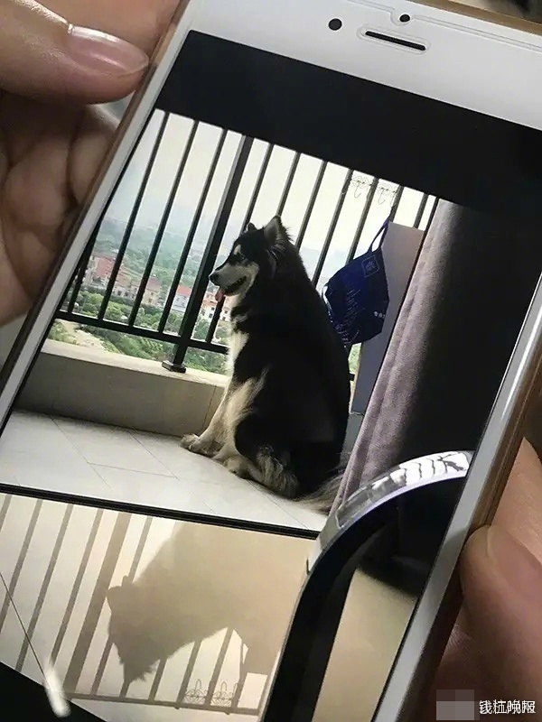 欧美A级淫片播放