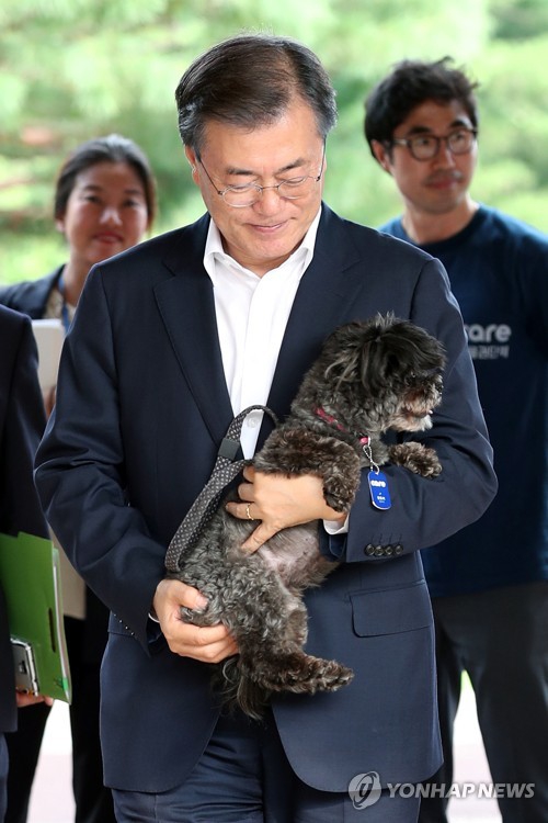 美女射精失禁网站