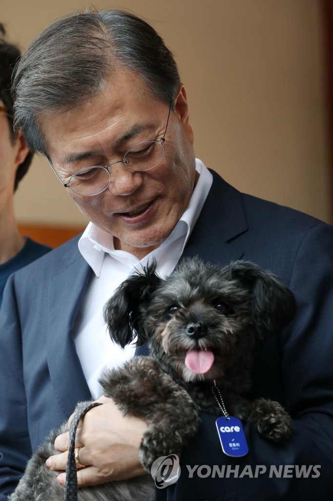 岳丰满大屁股丰满的女人是谁