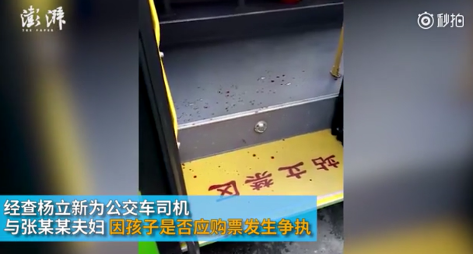 本多成實