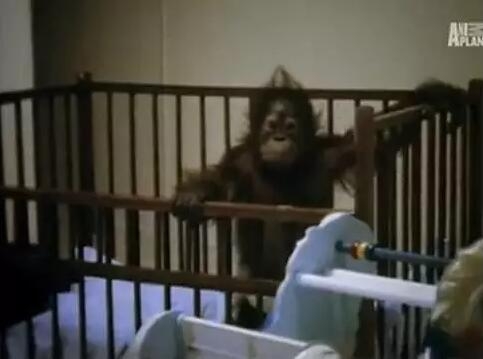 欧美性交