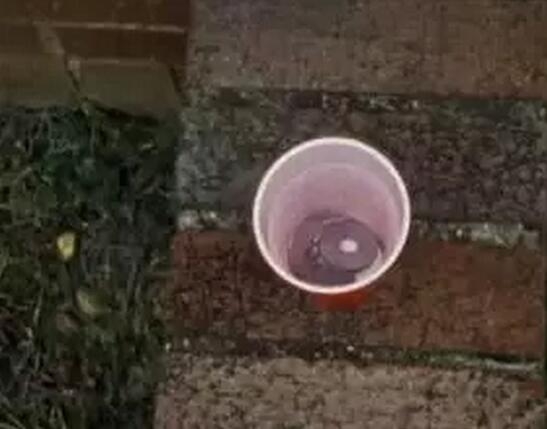 逼逼网
