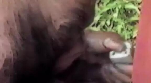 黄色视频毛片