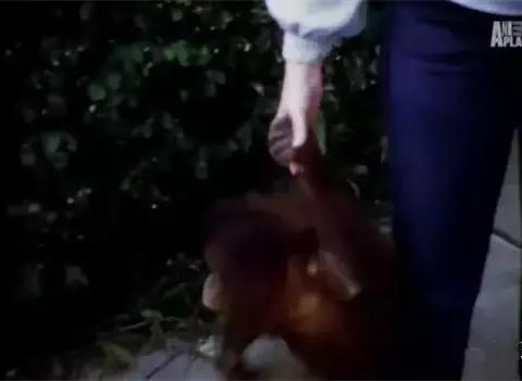 高 颜 值 美女 做爱